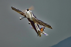 21951100_743029369240663_5230754348541013636_o