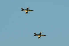 f2012__018