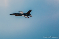 Ebenheid_2015_top-24