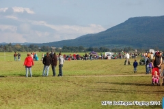 ft2014-028