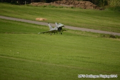 ft2014_019
