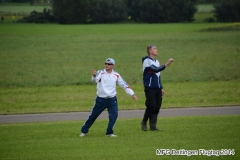 ft2014_029