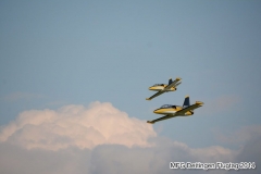 ft2014_061