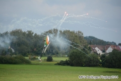 ft2014_079