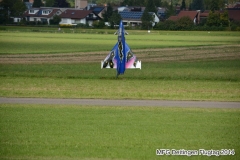 ft2014_119
