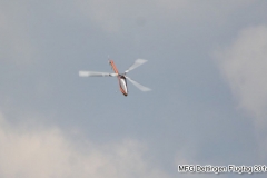 ft_2014_009