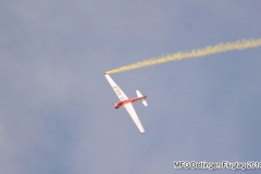 ft_2014_019